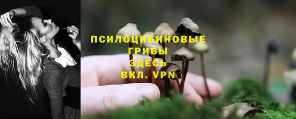 mdpv Беломорск