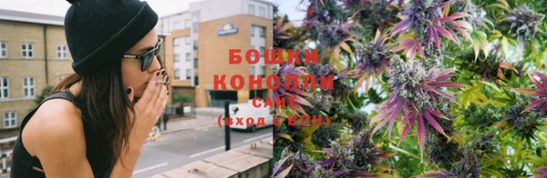 прущие крисы Белокуриха