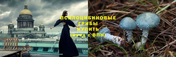 mdpv Беломорск