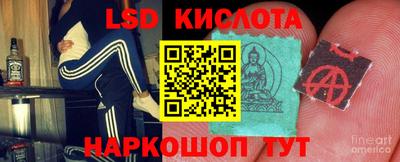 индика Будённовск