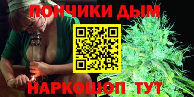 молекула духа Будённовск