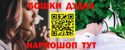индика Будённовск
