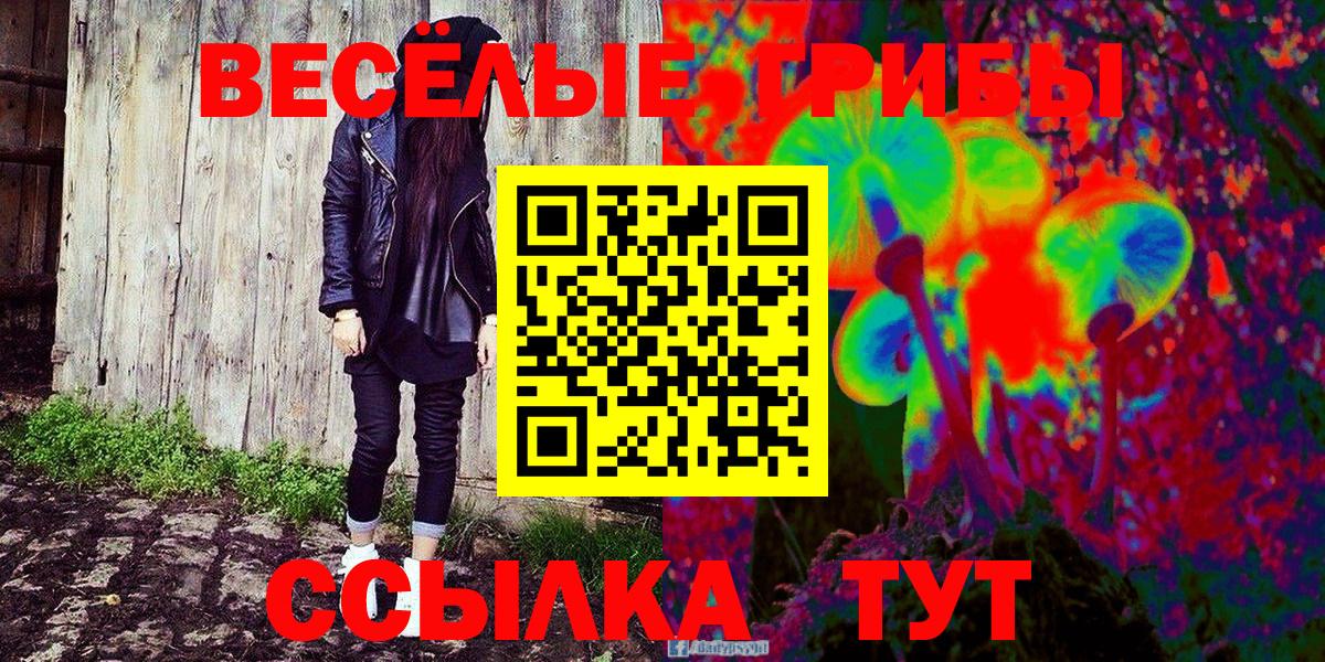 Псилоцибиновые грибы Psilocybine cubensis Бугульма